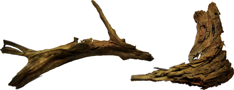 Malaysian Driftwood For Terrariums