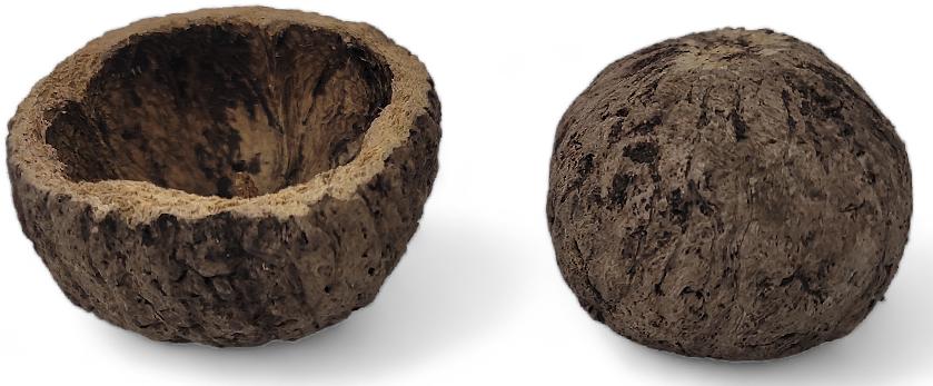 Mayan Coconut Botanical Biodegradable For Vivariums