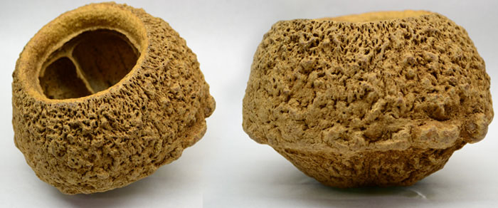 Monkey Pots