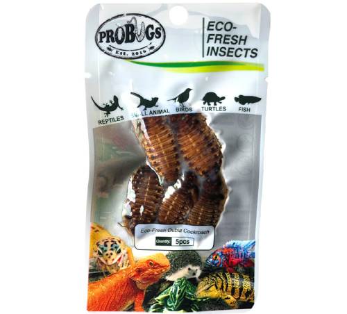 Probugs Dubia Best Price