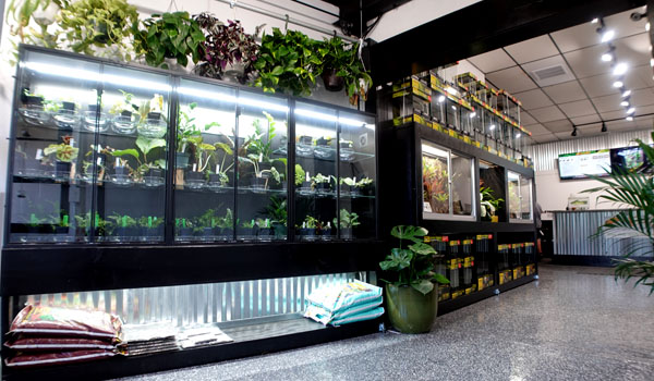 NEHERP Walk In Terrarium Specialty Store