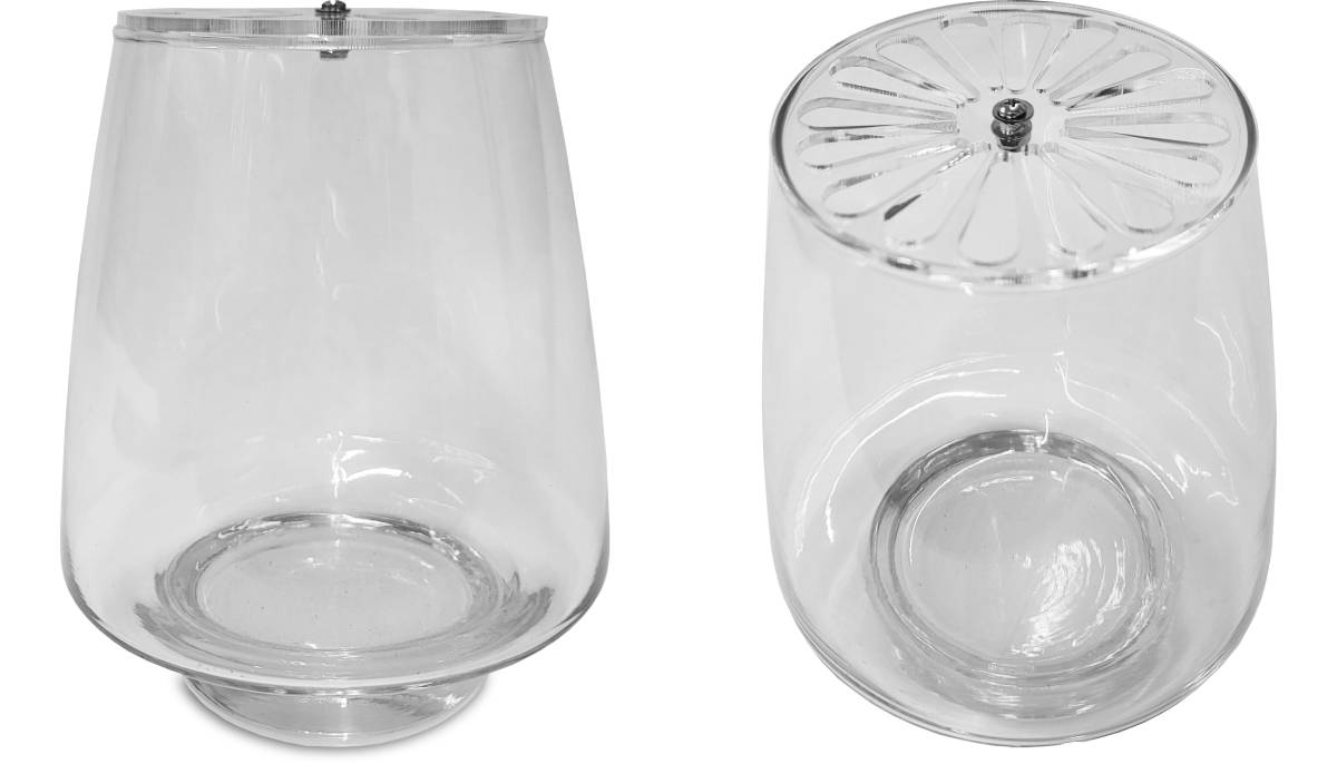 Custom Glass Pyramid Decorative Terrarium For Tropical Plants