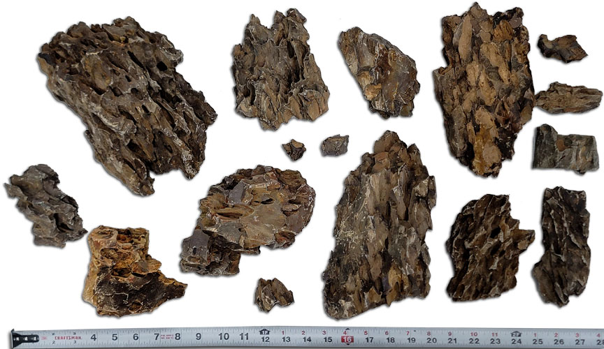 Best Rock For Bioactive Terrariums