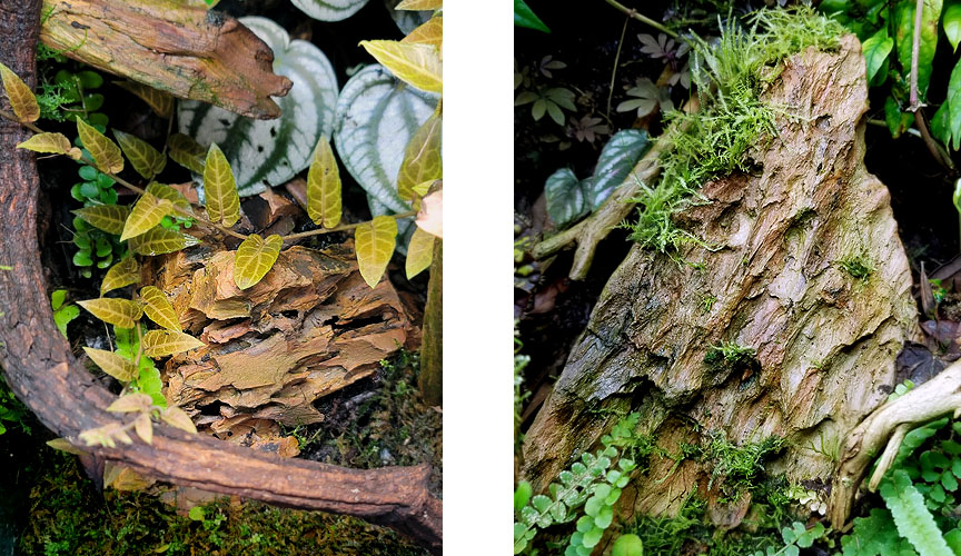 Best Looking Rocks For Bioactive Terrariums