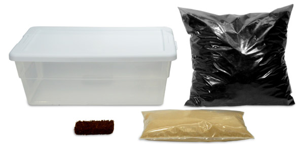 NEHERP Springtail Breeding Kit