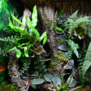 Stainless Steel Terrarium Hardware