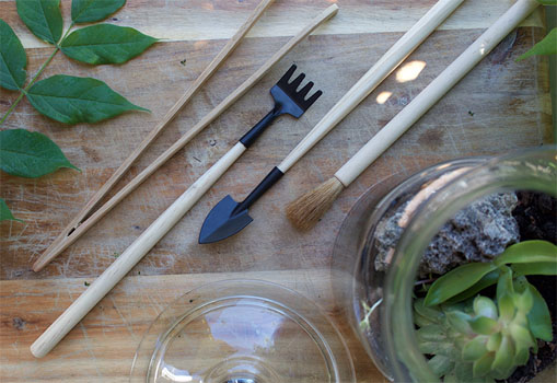 Terrarium Tool Kit For Bioactive Terrariums