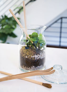 Terrarium Tool Kit For Bioactive Terrariums