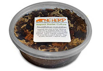 Live Bioactive Cleanup Crew Isopods