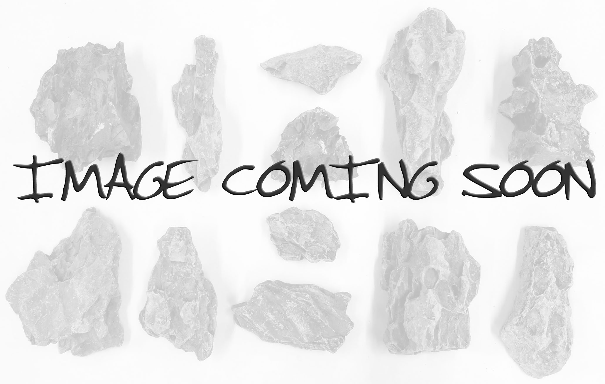 Vivarium Rock Accents: Ash