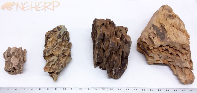 Vivarium Rocks: Earth For Bioactive Terrariums