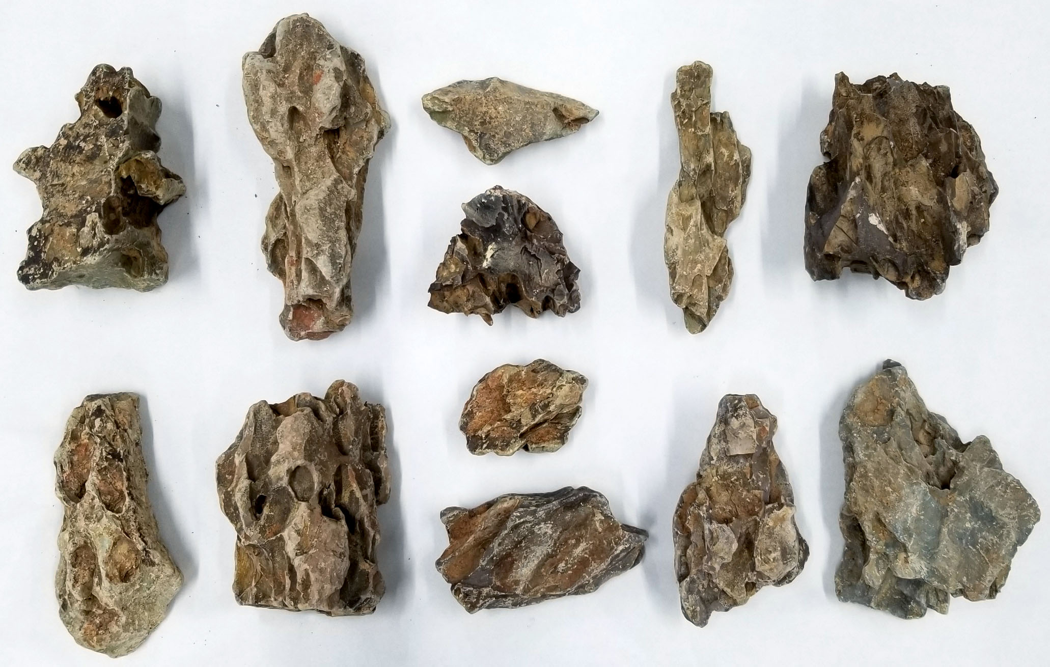 Vivarium Rock Accents: earth