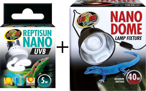Best UVB Basking Spot For Bioactive Terrarium