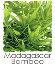 Best Artificial Plant For Bioactive Terrariums - Zoo Med Natural Bush For Terrariums