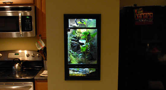 Custom wall mounted vivarium installation