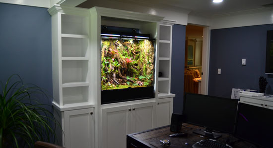 Custom vivarium installation