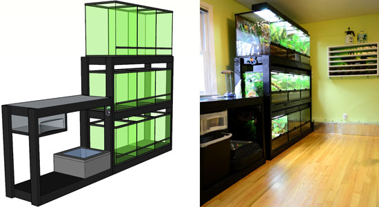 Custom Bioactive Terrarium Consultation For Breeders & Enthusiasts