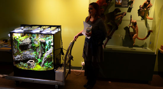 Vivarium consultations for museums & zoos