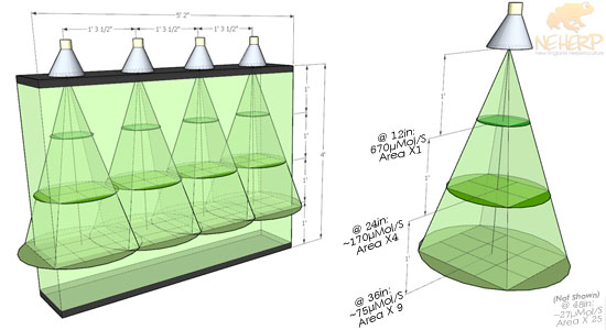 Vivarium lighting assessment