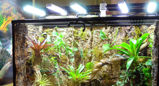 Custom Terrarium Parts By NEHERP