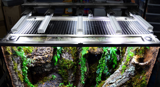 Custom Terrarium Lighting Solution For Museum Exhibit