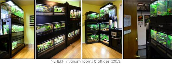 NEHERP's Herp Room and Office