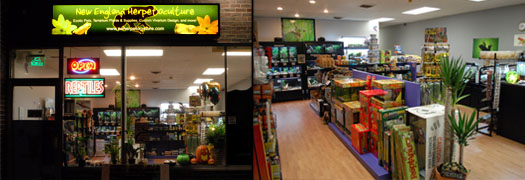 NEHERP's Old Retail Store