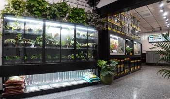 NEHERP Walk-In Terrarium Store