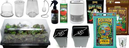 Horticultural Supplies For Terrarium Plants
