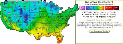 Live Arrival Guarantee