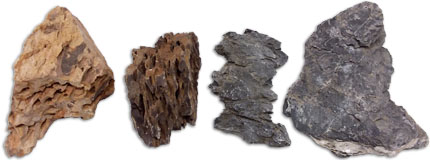 Hand Selected Rock Decor For Terrariums In CT