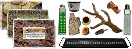 Vivarium Supplies + Kits