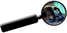 Search Our Store