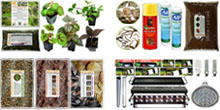 Bioactive Terrarium + Vivarium Kits