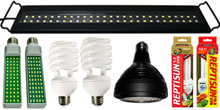 All Vivarium Lighting