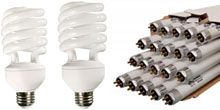 Fluorescent Bulbs For Bioactive Terrariums
