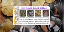 Leaf Litter For Terrariums