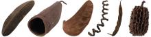 The Best Animal Safe Wood and Rocks For Bioactive Terrariums and Live Vivariums