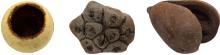 The Best Animal Safe Wood and Rocks For Bioactive Terrariums and Live Vivariums