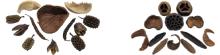 The Best Animal Safe Wood and Rocks For Bioactive Terrariums and Live Vivariums
