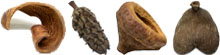 Wood Accents + Pods For Live Vivariums
