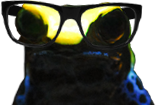 Nerdy Frog Picture