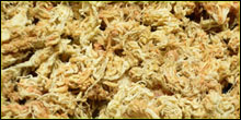 Sphagnum Moss