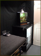 Gecko Incubator