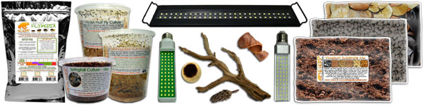 Bioactive Vivarium & Herp Supplies