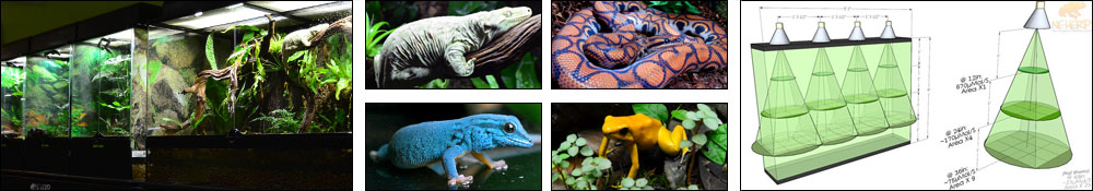 NEHERP Vivarium Consultation