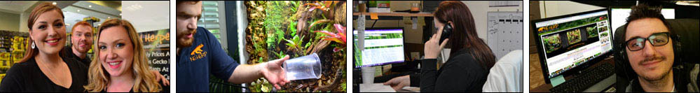 Basic Vivarium Support