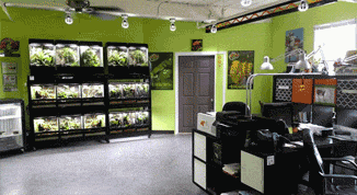 Office Rendering Before & After