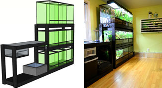 Reptile Room Design
