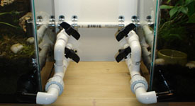 Custom Vivarium Design Consultation Service